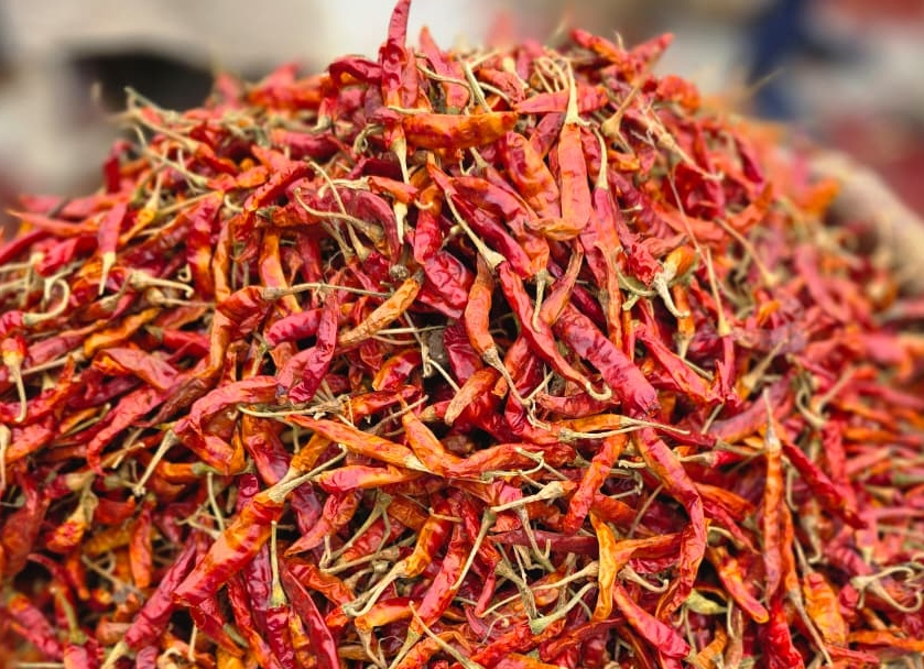 S17 Teja Fatki Dry Red Chilli